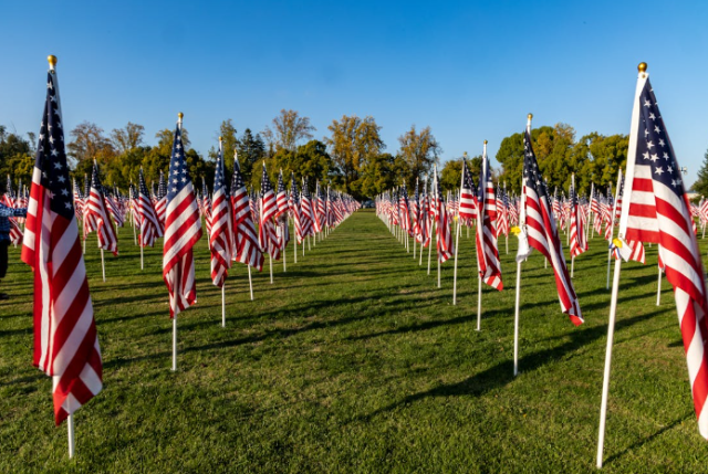 Fort Mill to Host Veterans Day Ceremony Honoring Those Who Served