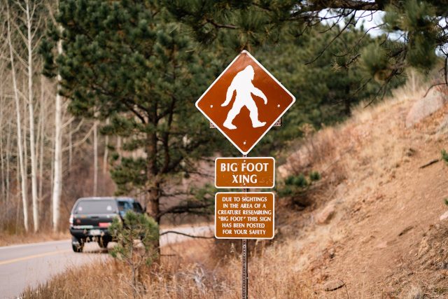 Police Officer Reports Bigfoot Sighting in Newberry County, South Carolina