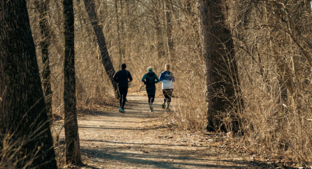 Hit the Trails: A Beginner’s Guide to Trail Running