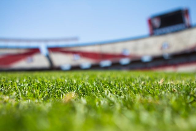 Local Soccer Standouts Selected for Clash of the Carolinas All-Star Match