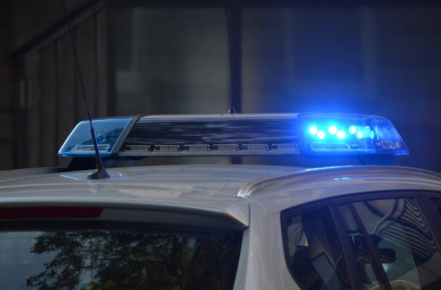 York County Deputy Arrested for Felony Animal Ill-Treatment