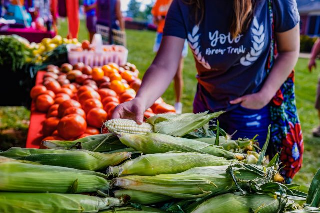 South Carolina Ag + Art Tour Returns to York County June 7–8 with Dozens of Hands-On Experiences