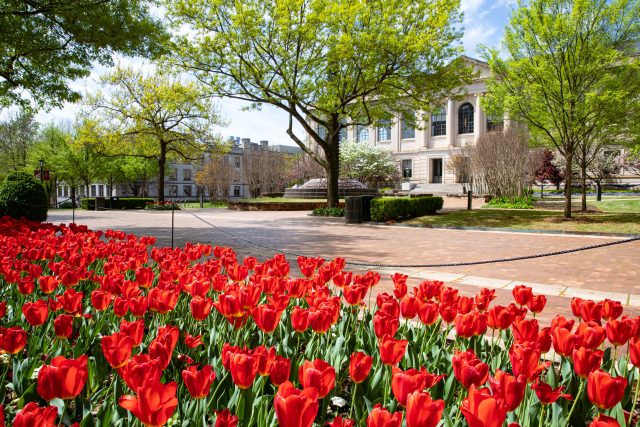 Stone Sawyer of Indian Land Named to University of Arkansas Dean’s List