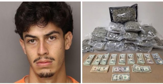 Traffic Stop in Indian Land Leads to Marijuana Trafficking Arrest