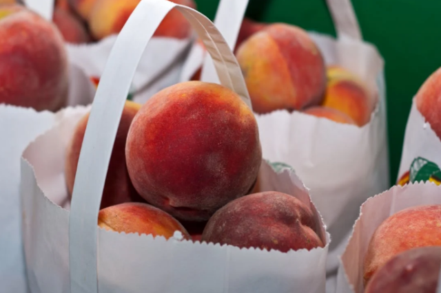 South Carolina Peaches: Your Guide to Peak Sweetness This Summer
