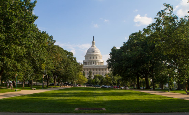 South Carolina Leads Charge for Congressional Term Limits