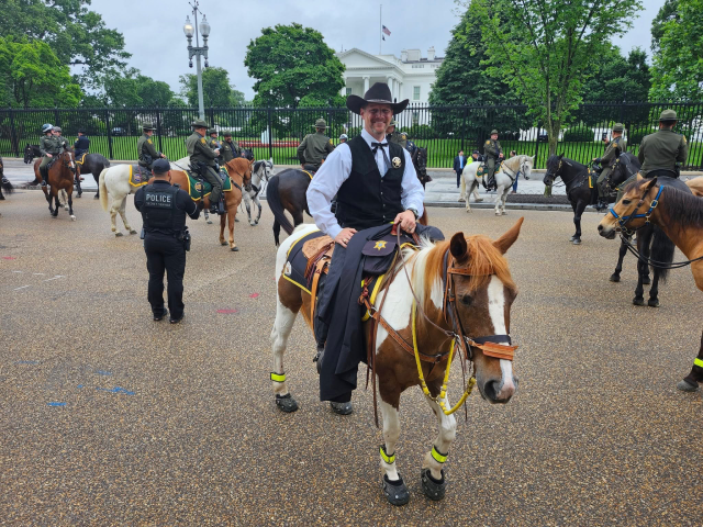 York County Sheriff’s Office Mourns Loss of Mounted Patrol Horse Josie