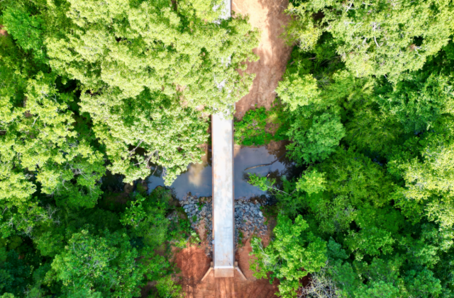 Two New Bridges Reconnect Trails at Anne Springs Close Greenway