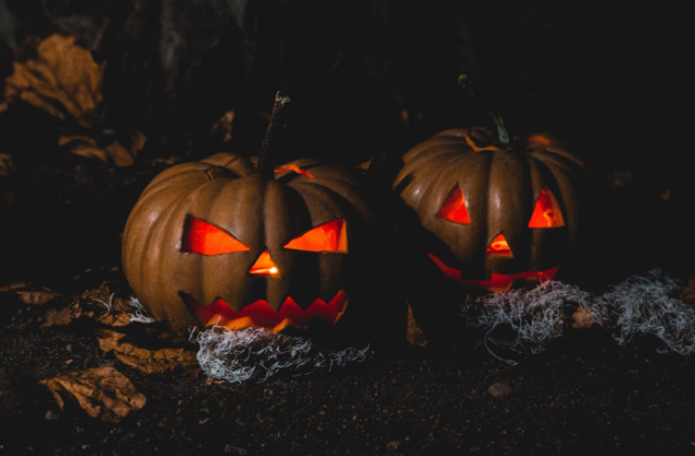 Don’t Trash That Treat: What to Do with Your Leftover Pumpkins After Halloween