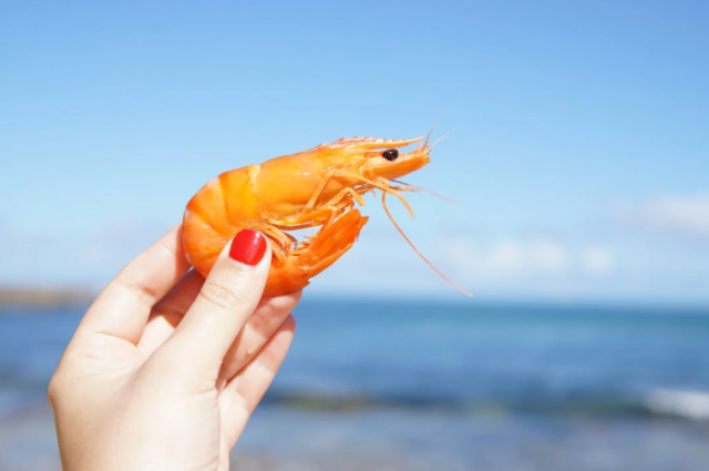 Shrimpgate’ Lawsuit Dismissed, Ending Lowcountry Legal Battle