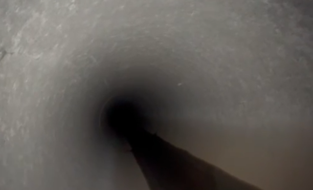 “Something Chilled Me to the Bone”: Local Youth Report Alleged Cryptid Sighting in Tega Cay Woods