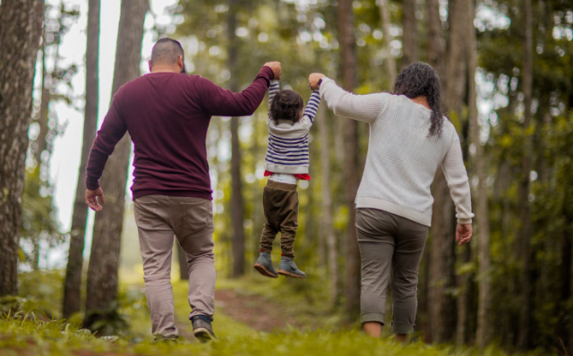 Healthy Living with Dr. Hall: How Nature Helps Your Brain Work Better