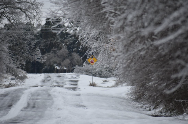 Federal Emergency Declaration Approved as South Carolina Braces for Historic Winter Storm