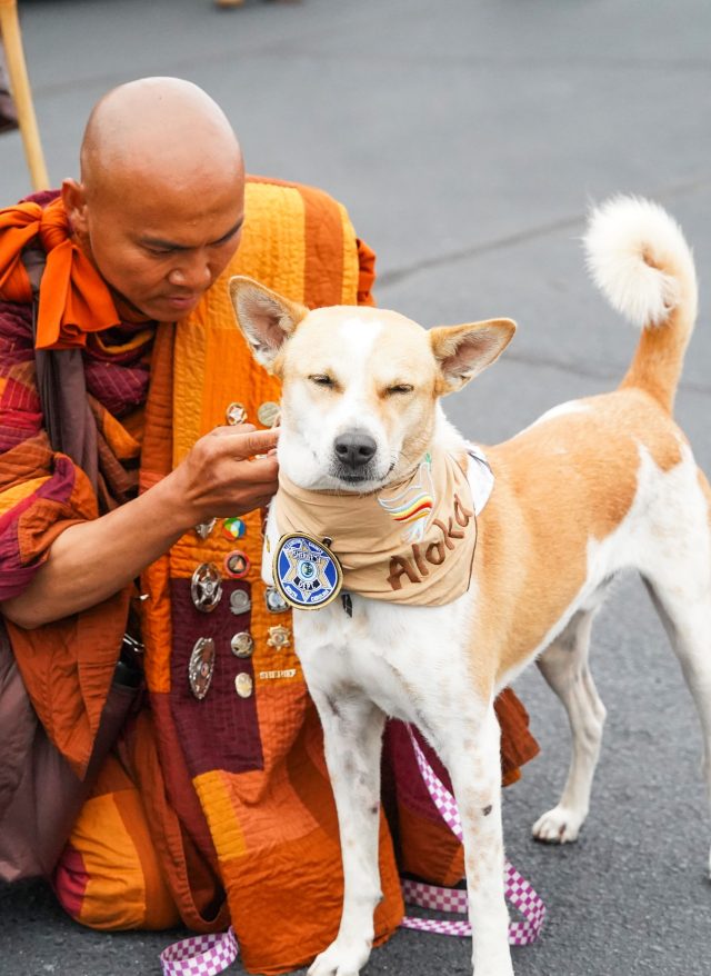 “Walk for Peace” Mascot Aloka Undergoes Surgery, Begins Recovery Journey