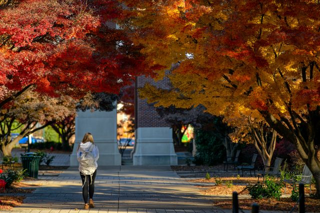 Local students earn University of Mississippi Chancellor’s Honor Roll for Fall 2025