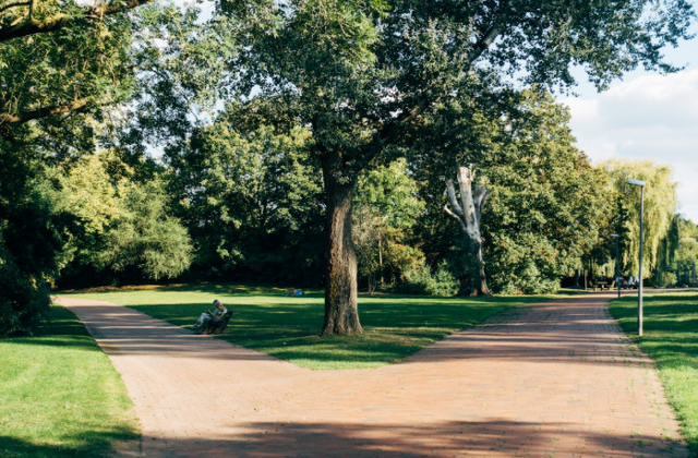 Mr. Penny Pincher: Indecision Can be Positive