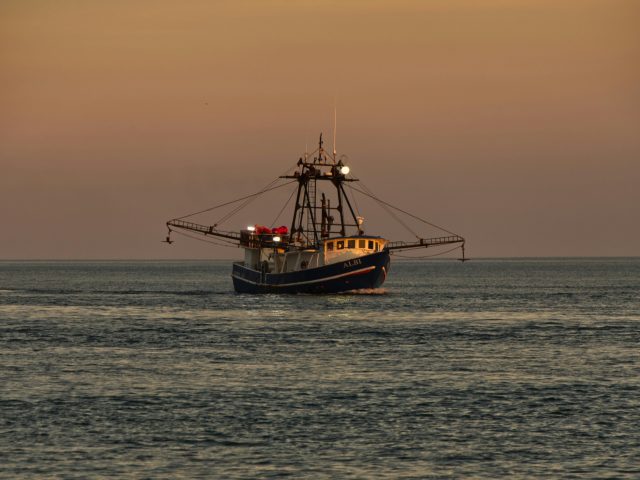 South Carolina Senate Advances Shrimp Labeling Bill Amid Industry Debate