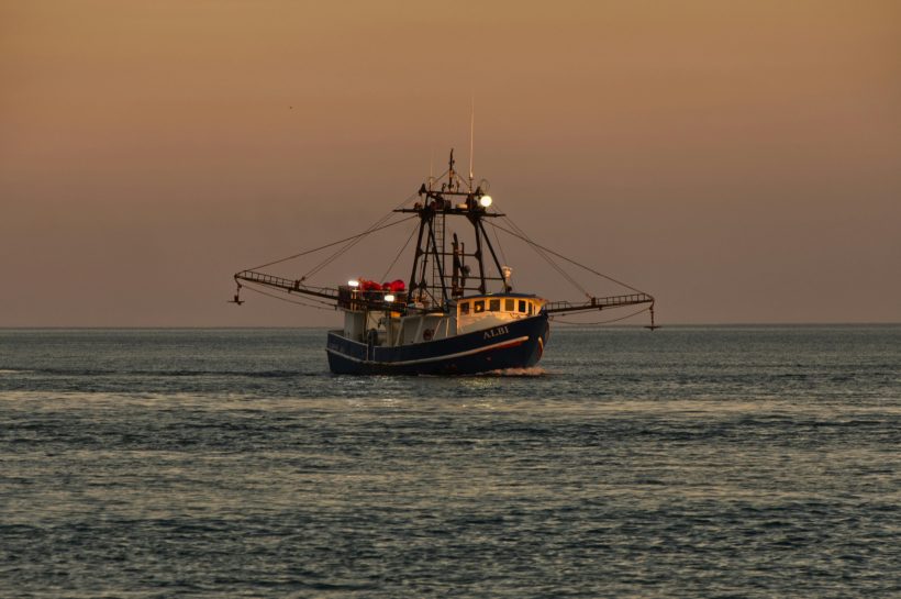 South Carolina Senate Advances Shrimp Labeling Bill Amid Industry Debate